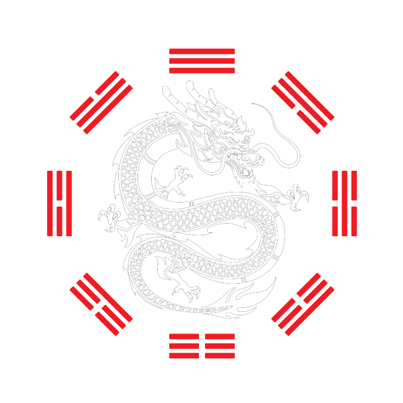 The Moral Dragon — Bagua, Xingyi, Taiji kung fu school